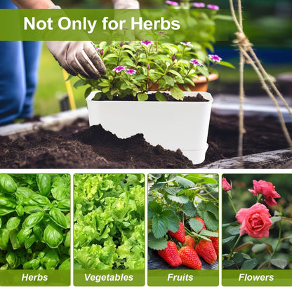 Herb Garden Planter Indoor Kit Self Watering Pots for Indoor/Outdoor Plants 4 Packs Windowsill Plant Pots with Drainage and Tray, Window Pot for Indoor Plants