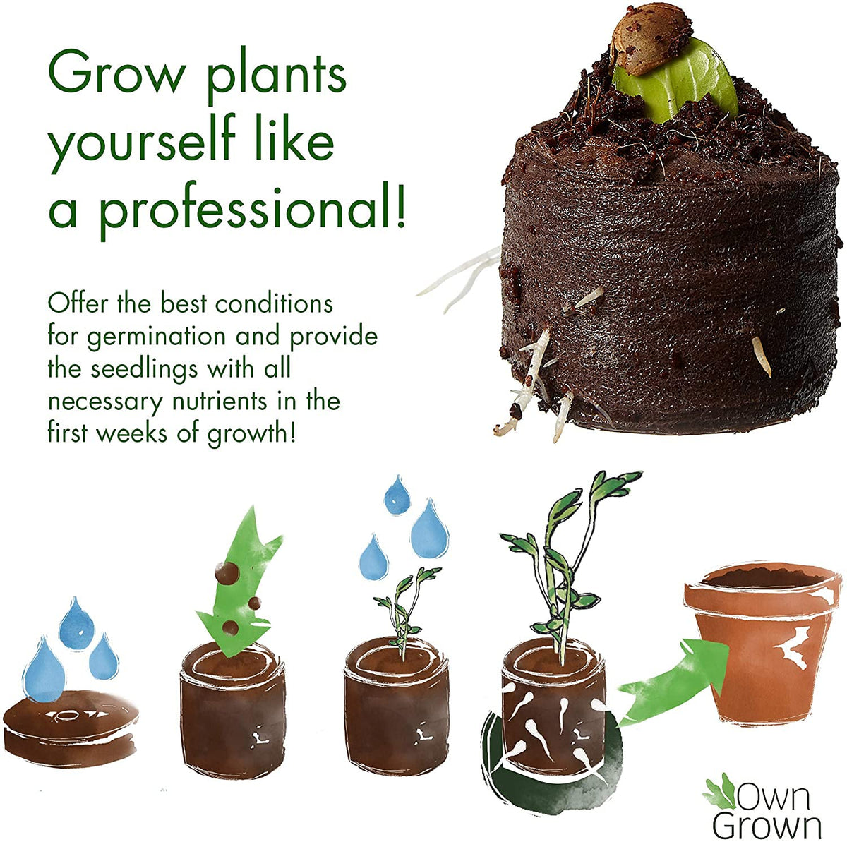 Coco Coir Seed Starter Pellets: 125 Coconut Coir Plugs for Growing Plants - Peat Free Seedling Soil - Seed Starter Kit with Potting Soil Pellets - Gardening Supplies from OwnGrown