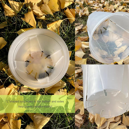 24 pcs 5/6 inch Clear Nursery pots with Trays,Thick Plastic Clear Plant pots with Drainage Holes and Saucers for Orchids,Succulents etc,Outdoor or Indoor use (5/6inch with 24 Trays)