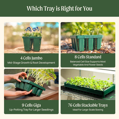 Vego garden Standard Seedling Trays Without Lids, 16 Pack for Seedlings Reusable Propagator Growing Starter Tray, Germination Trays Kit for Greenhouse/Garden (8-Cell per Tray)