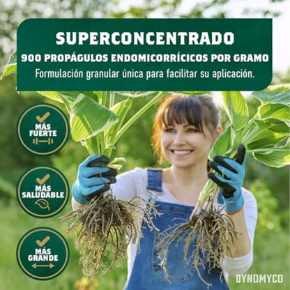DYNOMYCO Granular Mycorrhizal Fungi Inoculant, 100g/3.5oz – Boosts Root Growth, Yields & Nutrient Uptake – 900 Propagules/g, Concentrated Granules, & OMRI Listed – Biofertilizer for Plant Growth