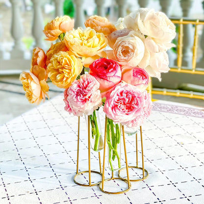 Propagation Station Terrariums with Gold Metal Stand - Kate Aspen 3 Glass Test Tube Planters for Indoor Plant, Air Plants, Plant Clippings, Cut Flowers, Herbs, Succulents | Home Decor Table Decoration