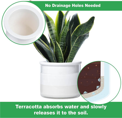Phoenix Vine 6 Inch Self Watering Planter Pot, Design White Terracotta Pot for Plants, Indoor Cylinder Terra Cotta Pot with Glass Vase, Set of 1, 51-B-F-1