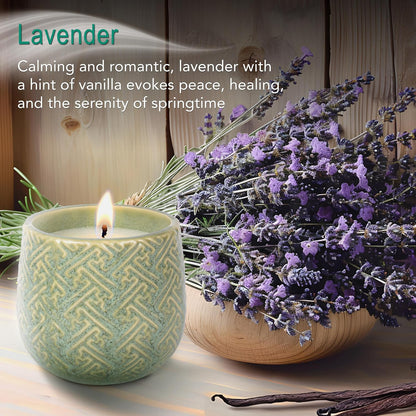 The Growing Candle, Lavender Scented, 10oz Ceramic Pot, Single Wick Aromatherapy Candles, 100% Soy for Women and Men, Ida