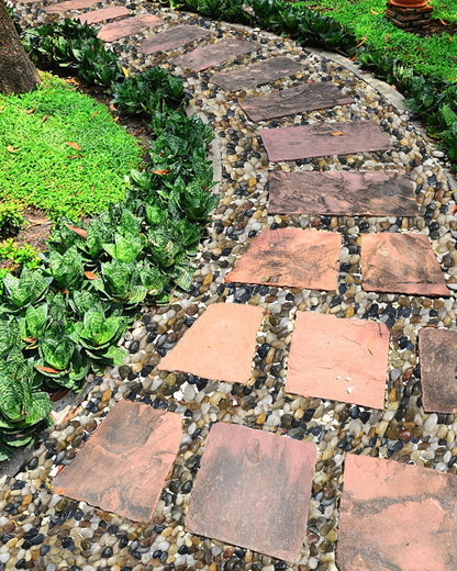 45LB Bulk Polished River Stones, 1"–2.2" Mixed Color Decorative Pebbles for Plants, Aquarium Gravel, Landscaping, Garden Pathways & Vase Filler