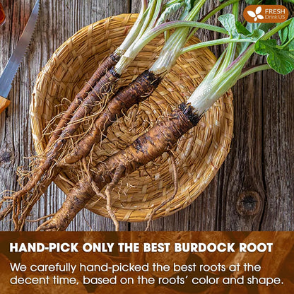 FreshDrinkUS Premium Burdock Root Tea Bags, 100% Natural & Pure. Burdock Herbal Tea, Made with Natural Material Tea Bags. No Sugar, No Caffeine, No Gluten, Vegan