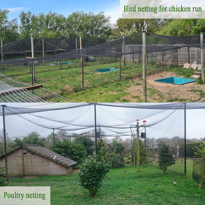 Bird Netting for Chicken Coop 25x50 Ft, 1" Mesh, Strong Woven Poultry Netting Roof Cover for Chicken Run, Heavy Duty Bird Net for Fruit Trees, Blueberry, Vegetables, Garden Protection
