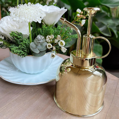 Stainless Steel Plant Mister Spray Bottle Watering Can for Indoor Plants Succulent Bonsai Garden Spray Houseplant Spritzer Modern Garden Tools 10oz/300ml (GOLD)