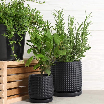 D'vine Dev 6 Inch 4 Inch Ceramic Indoor Planter Pots with Drainage Hole and Saucer, Beaded Design Flower Pots, Set of 2, Matte Black, 27-D-U-6