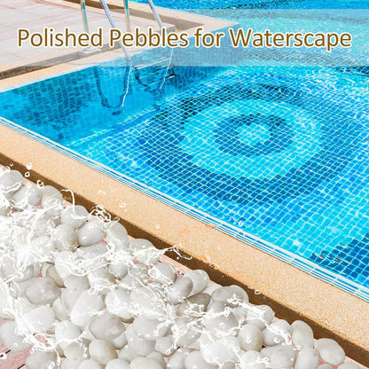 Sunnyglade 40 LBS White River Rocks, 2-3 Inch Natural Pebbles for Indoor Plants, High Polished Decorative Stones Vase Filler Fish Tank Aquariums Landscaping Garden Outdoor and Indoor DIY (40 Pounds)