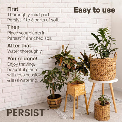 Persist Horticultural Charcoal 3qt Bag, Biochar Soil Amendment for Indoor Plants, Improves Soil for Terrariums, 100% Natural Active Carbon and House Plant Enhancer.