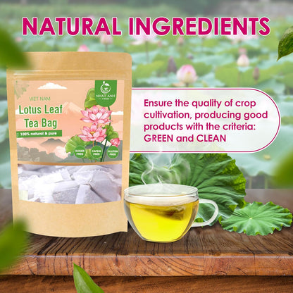NHAT ANH FARM - Premium Lotus Leaf Tea Bags, 40 Teabags, 100% Natural, Hand-Selected Lotus Leaf Tea Bags, No Additives, Sugar-Free,Caffeine-Free. Good For Your Health.