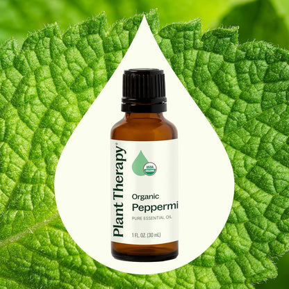 Plant Therapy Organic Peppermint Essential Oil 100% Pure, USDA Certified Organic, Undiluted, Natural Aromatherapy, for Diffusion, Skin, Hair, Therapeutic Grade 30 mL (1 oz)