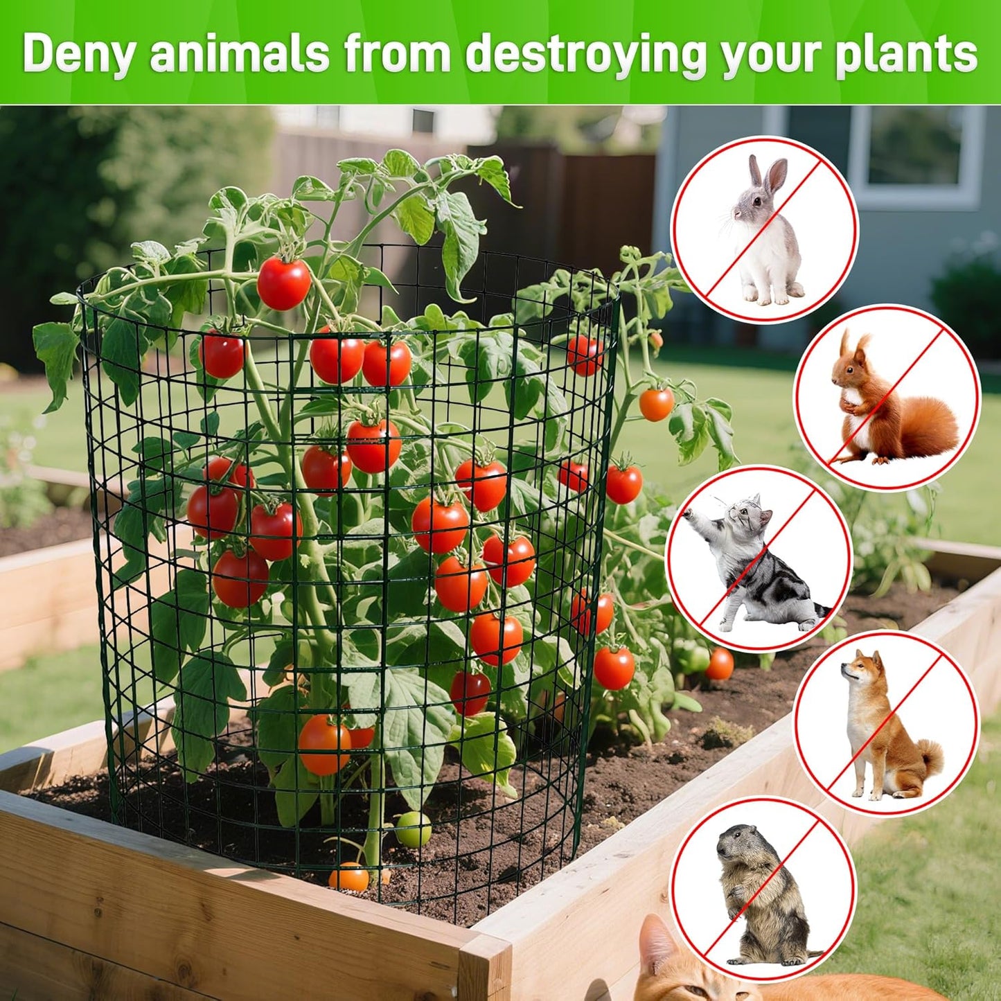 8pcs Plant Protectors from Animals, 24"x 12" Wire Plant Protector, Wire Cages for Plants with Stakes and Cable Ties, Metal Plant Cages for Plants, Vegetables, Flowers