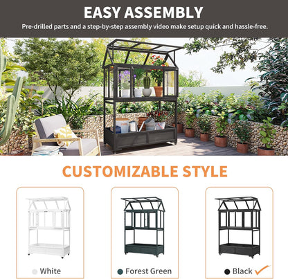 Portable Cold Frame Greenhouse with Wheels , Wooden Mini Greenhouse Cabinet for Gardens & Balconies , Openable Roof Design & Built-in Storage Box ,Easy-to-Move & Durable (Black)