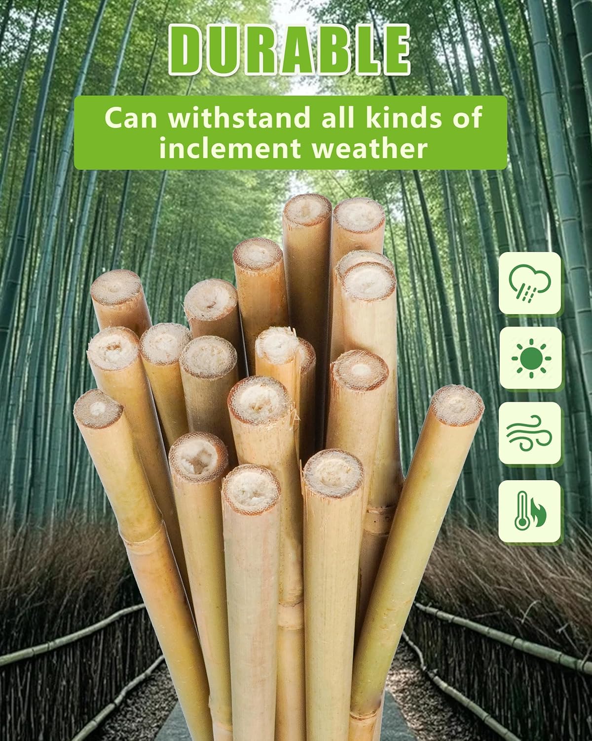 2ft Natural Bamboo Plant Stakes for Tomatoes, Beans, Flowers, Potted, Climbing Plants 25pcs