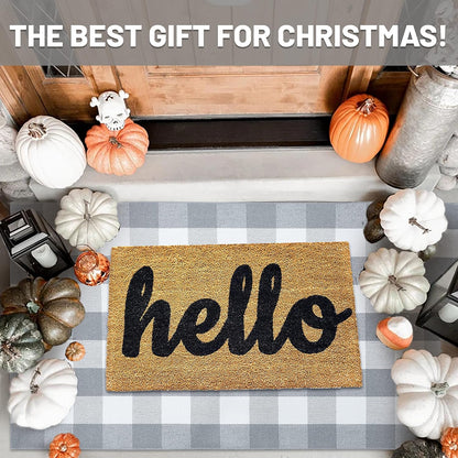 IOHOUZE Buffalo Plaid Checkered Rug 3x5 Ft Front Door Mats, Washable Area Rugs for Front Porch Decor, Spring Summer Welcome Mats Outdoor, Gray White Rug for Farmhouse/Entryway/Home Entrance