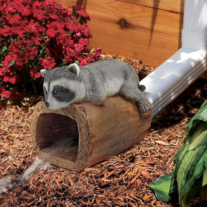 RAIDER THE RACCOON GUTTER GUARDIAN