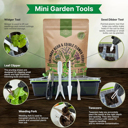 20 Culinary Herbs & Edible Flower Seed Variety Pack for Planting Indoor & Outdoors. 9500+ Non-GMO Heirloom Flower Seeds: Basil, Borage, Echinacea, Lavender, Oregano, Rosemary Seeds & More