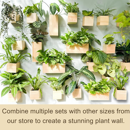 LaLaGreen Wooden Planter Box for Plants (4 Pack) Natural Wood Hanging Wall Planters for Indoor Plant Holder Vase for Dried Flowers, Modern Style Unique Living Room Bedroom Kitchen Home Office Decor