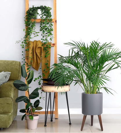 D'vine Dev 10 Inch Planter Pot with Stand, Mid-Century Tall Plant Pot with Legs for Indoor Plants, Medium, Grey, 88-O-B-3