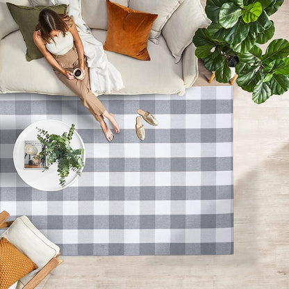 IOHOUZE Buffalo Plaid Checkered Rug 4x6 Ft Front Door Mats, Washable Area Rugs for Front Porch Decor, Spring Summer Welcome Mats Outdoor, Gray White Rug for Farmhouse/Entryway/Home Entrance