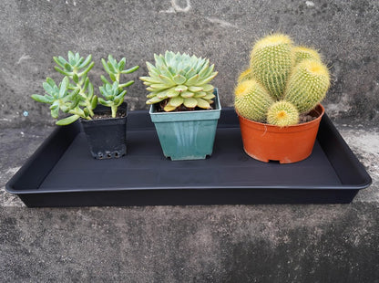 Plant Growing Trays 4 Pack, Plant Tray, 14.5"x11", Heavy Sturdy Plastic Plants Saucer, Seedling Starter Trays, Seed Starter Growing Tray (Black)
