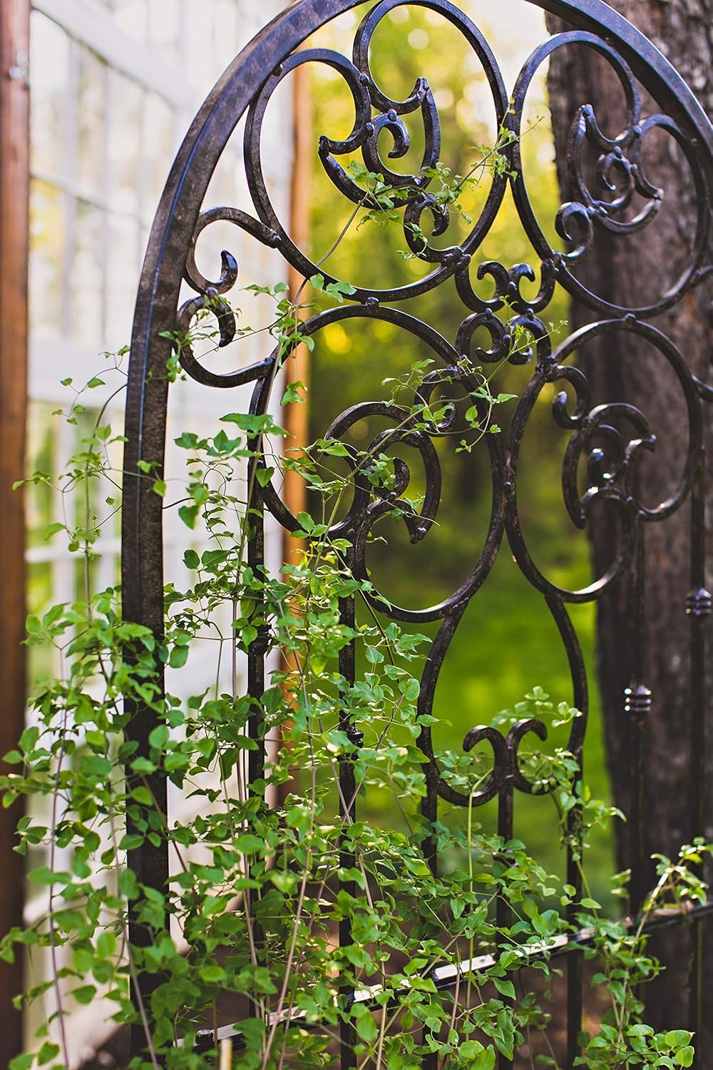H Potter Wall Trellis Indoor Outdoor Wrought Iron Heavy Scroll Metal Decoration Large with Set of 4 Mounting Brackets