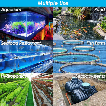 Powerful Linear Air Pump, KP-80 Pond Air Pump Pond Aerator, 1350GPH Aeration System for Koi Pond Aeration, Aquarium, Waste Treatment, Fish Farm, Seafood Restaurant