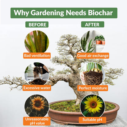 Premium Biochar Soil Enhancer – 100% Organic Charcoal Amendment for Improved Soil Health and Plant Growth (12 Quarts)