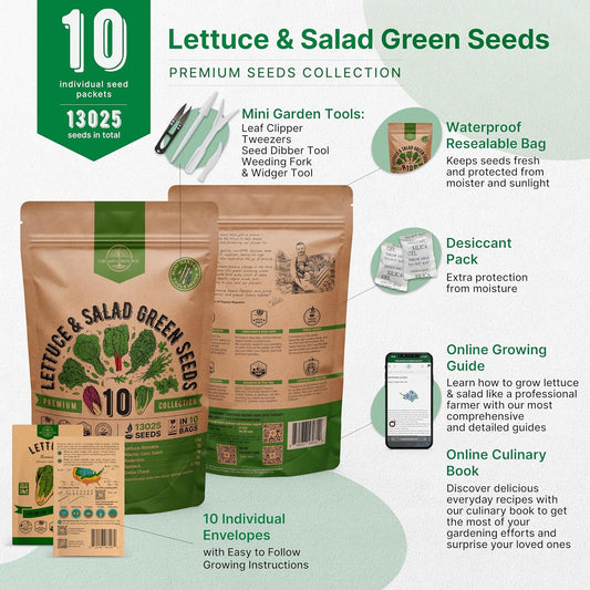 Organo Republic 10 Lettuce & Salad Greens Seeds Variety Pack 13000+ Non-GMO Heirloom Lettuce Seeds for Planting Indoors & Outdoors Garden, Hydroponics - Arugula, Radicchio, Kale, Spinach, Swiss Chard