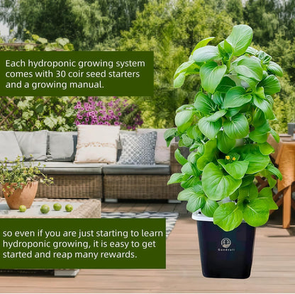 Hydroponic Growing System,Hydroponic Vertical Garden,Indoor Smart hydroponic Vegetable System, 30 Pods,Plant Germination kit with Pump System, Auto Timer, Beginner kit