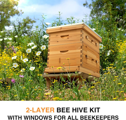 CREWORKS 10 Frame Bee Hive, 2 Layers Beeswax Coated Beehive Starter Kit with Frames & Foundations, Langstroth Bees Hives Box with Transparent Acrylic (Window Medium Box & Deep Box)