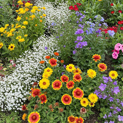 Ferry-Morse Rocky Mountain Mix Bulk Wildflower Seeds, 1lb