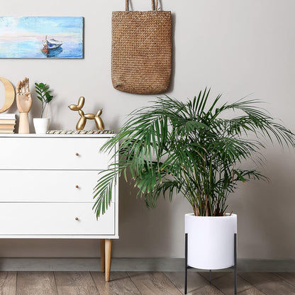 D'vine Dev Modern White Plants Pot Cylinder Planter with Heavy Duty Stand, Large 12 Inch Pot, 18.9 Inch with Stand Height, 96-T-A-3