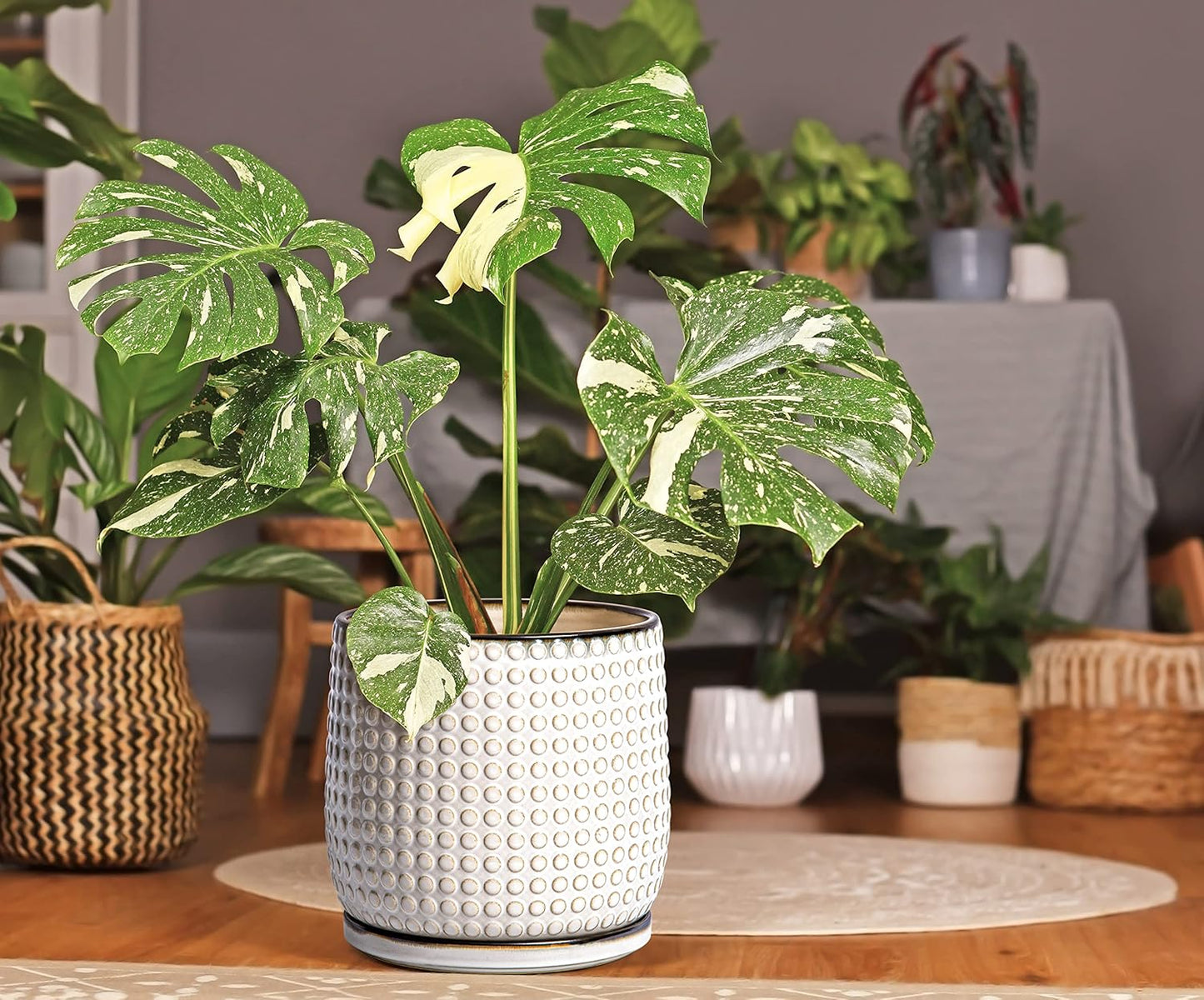 D'vine Dev 8 Inch Ceramic Beaded Stoneware Planter Pot - Flower Pot with Drainage Holes and Saucers for Indoor Succulent Plants or Flowers, Smoked White, 27-C-Q-1