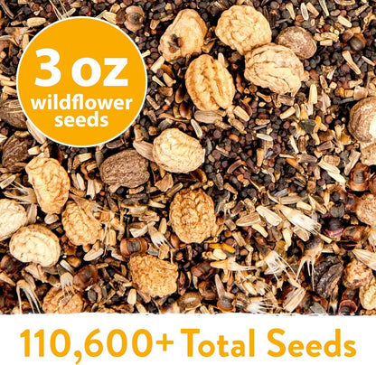 HOME GROWN Wildflower Seeds Mix - 110,600+ Seeds, 21 Varieties, Non-GMO Wild Flower Seeds for Planting, Annual Flowers, Butterfly Garden, Pollinator Seed Mix