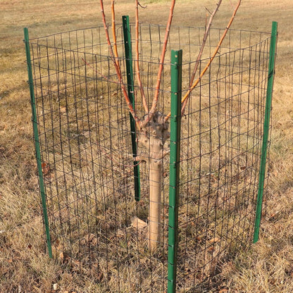 Black PVC Coated Welded Wire Fence 24 Inch x 50 Foot, 2 Inch x 3 Inch 16GA, Garden Border Fencing Roll Vinyl Coating Metal Wire Mesh for Yard Vegetable Plant Protection Poultry Netting