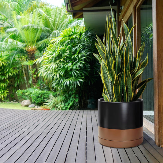 D'vine Dev 14 Inch Ceramic Planter Pot with Drainage Hole and Saucer, Indoor Cylinder Round Planter Pot, Black/Speckled Tan, 94-O-G-7