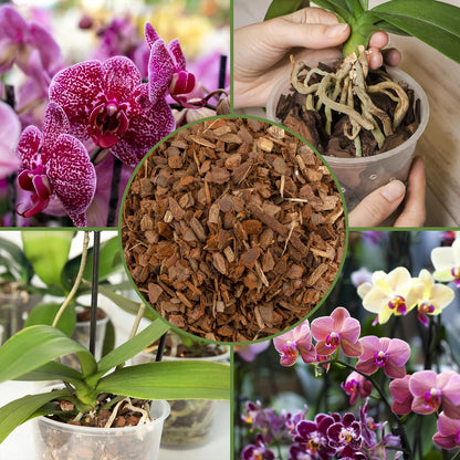 100% Organic Orchid Potting Bark (4 Quarts), All-Natural USA-Sourced Pine Bark Orchid Mix Additive