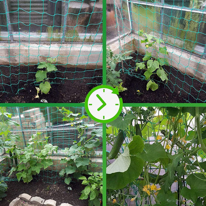 Trellis Netting for Climbing Plants - Heavy Duty Garden Trellis Netting for Cucumber, Vine, Fruits & Vegetables Tomato Plants Trellis Net, Climbing Vining Plants (1-Pack 8.2' x 6.6'Ft)