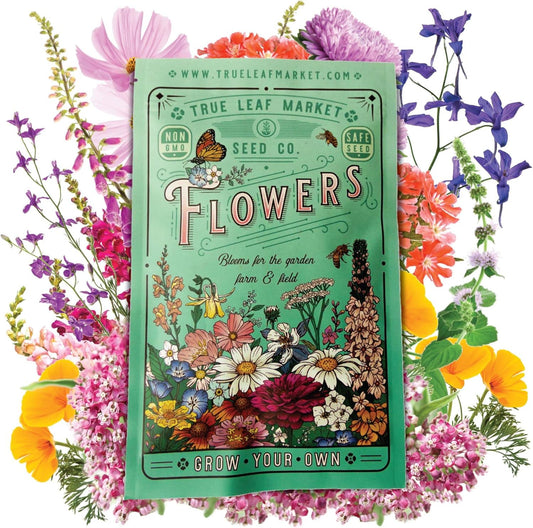 Pollinator Wildflower Seeds Bulk – 1 lb, 640,000+ Seeds – 23 Variety Mix for Hummingbirds & Butterflies – Non-GMO Annual & Perennial Flower Seed for Planting