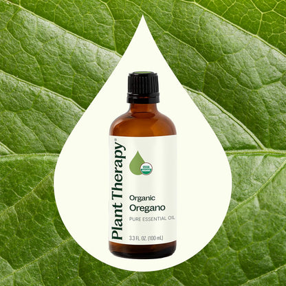 Plant Therapy Organic Oregano Essential Oil 100% Pure, USDA Certified Organic, Undiluted, Natural Aromatherapy, Therapeutic Grade 100 mL (3.3 oz)