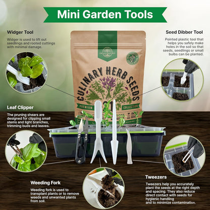 21 Culinary Herb Seeds Variety Pack - Heirloom, Non-GMO, Herb Seeds for Planting Outdoor and Indoor - Home Gardening. Over 11,400+ Seeds Including Rosemary, Thyme, Oregano, Mint, Basil, Parsley & More