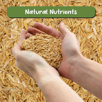 Organic Horticultural Grade Rice Hulls (2 Quarts); All-Natural Soil Amendment for Houseplants, Gardening, Seed Starting & Chicken Bedding