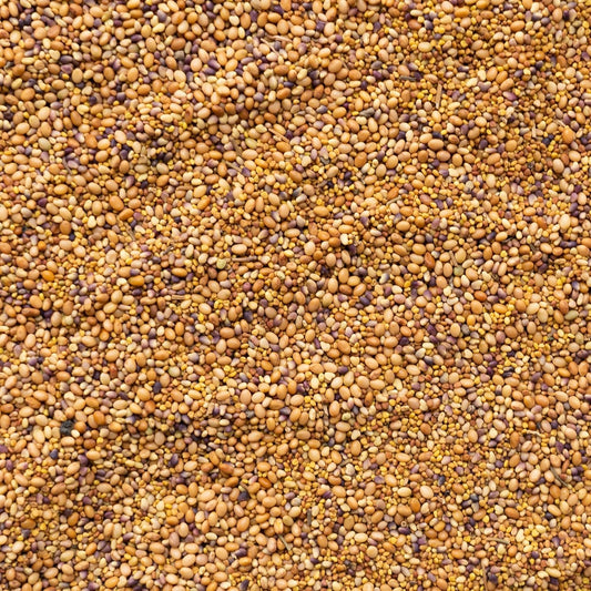 Clover Trio Seed Blend – Premium 25 LB Bulk ~4,480,000 Seeds – Red, White & Crimson Clover – Cover Crop & Soil Enrichment Mix