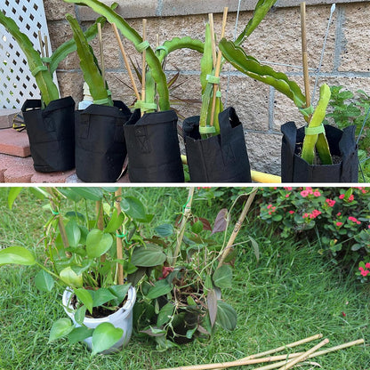 50Pcs / 2ft Bamboo Plant Stakes for Indoor Outdoor Plants, Garden Plant Support Sticks, Poles for Tomato Vegetables Beans Trees Potted Climbing Plants(0.32'')