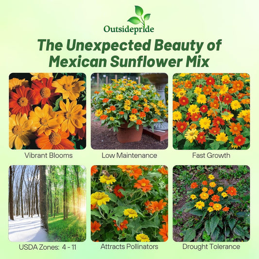 Outsidepride Mexican Sunflower Seeds Mix - 500 Pcs Annual, Easy-to-Grow, Mixed Tithonia Speciosa Flower Seeds w/Drought-Tolerant Blooms for Pollinator Gardens & Vibrant Summer Landscaping